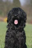 BRIARD 251